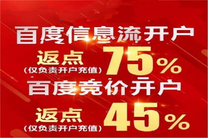 费用透明：百度推广一个月的详细花费报告